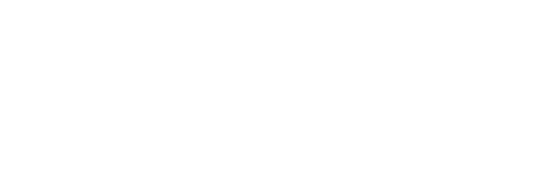 Aline Enzweiler Logo